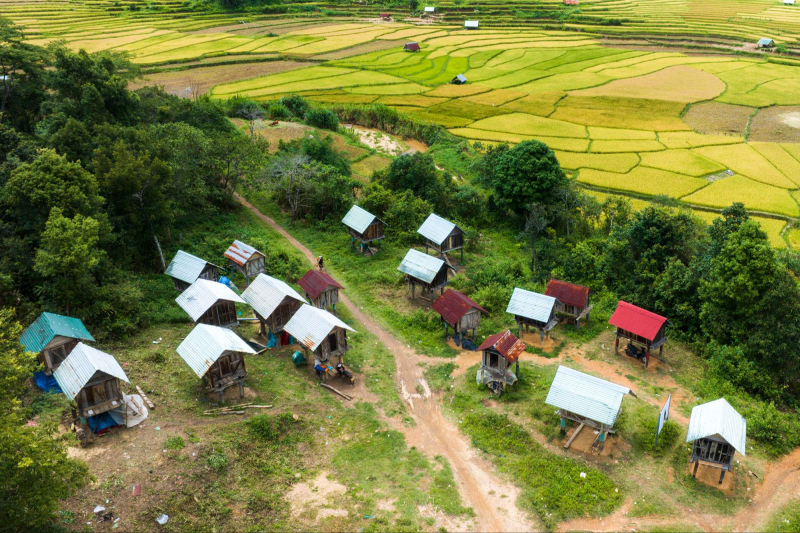 Mùa vàng ở Kon Plông, Kon Tum Mùa vàng ở Kon Plông, Kon Tum