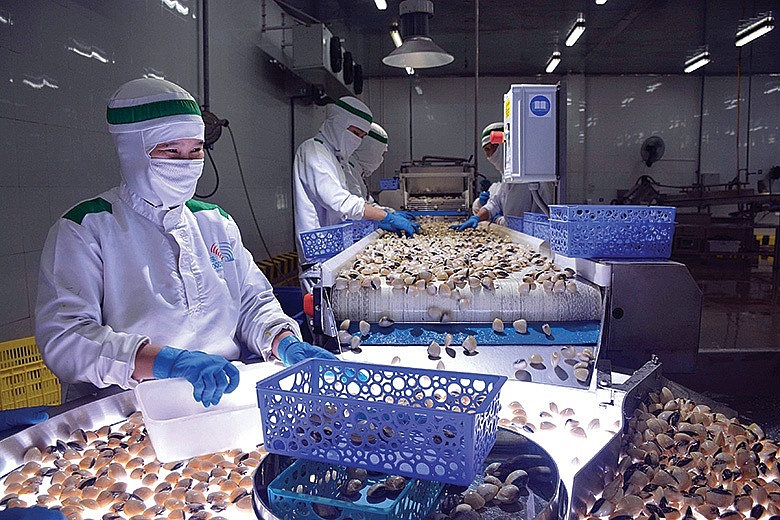 Xuất khẩu thủy sản trước thách thức lớn Xuất khẩu thủy sản trước thách thức lớn