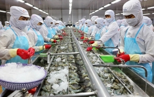 Tin tức kinh tế ngày 27/6: Xuất khẩu tôm giảm tháng thứ 5 liên tiếp