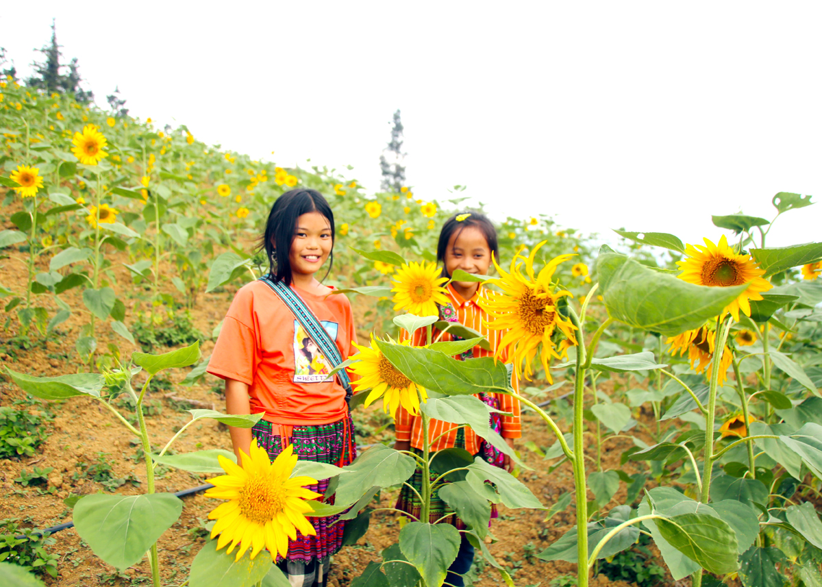Mênh mông Suôi Thầu (Xín Mần, Hà Giang) Mênh mông Suôi Thầu (Xín Mần, Hà Giang)