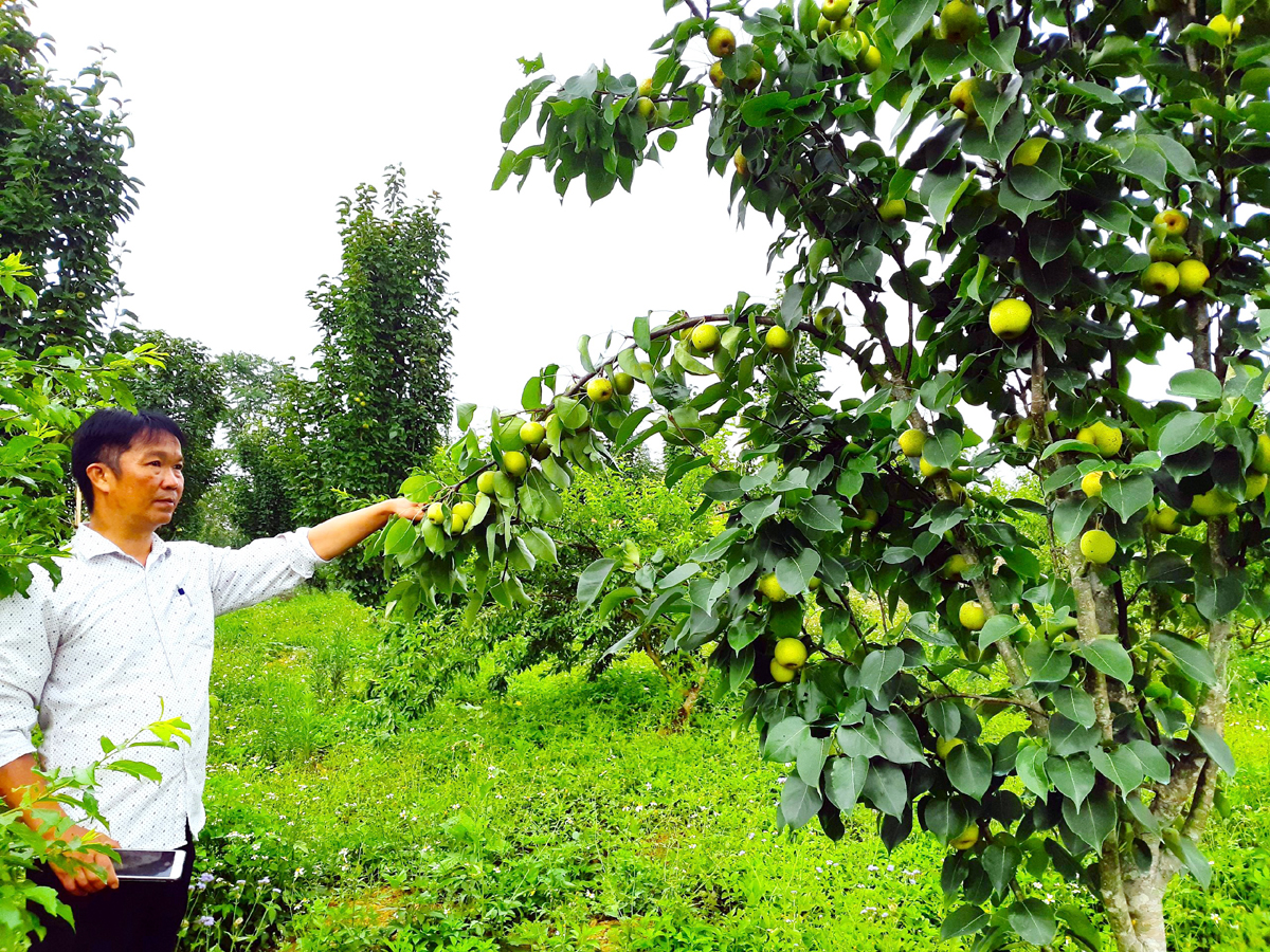Mênh mông Suôi Thầu (Xín Mần, Hà Giang) Mênh mông Suôi Thầu (Xín Mần, Hà Giang)