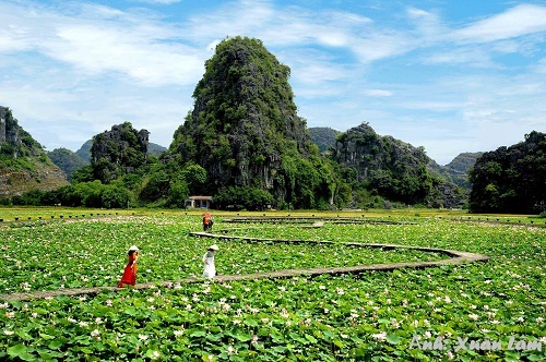 Hang Múa – Ninh Bình: địa điểm chụp ảnh, sống ảo yêu thích của giới trẻ