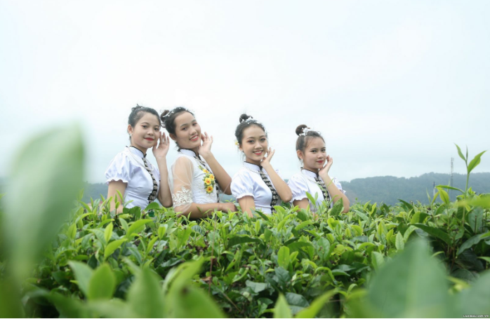 Đồi chè Tân Uyên - Điểm đến hấp dẫn
