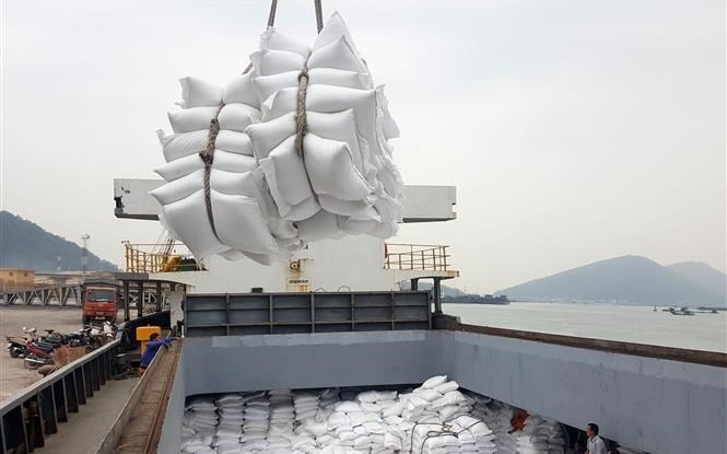 Tăng cường thực hiện các nhiệm vụ, giải pháp thúc đẩy sản xuất, xuất khẩu gạo