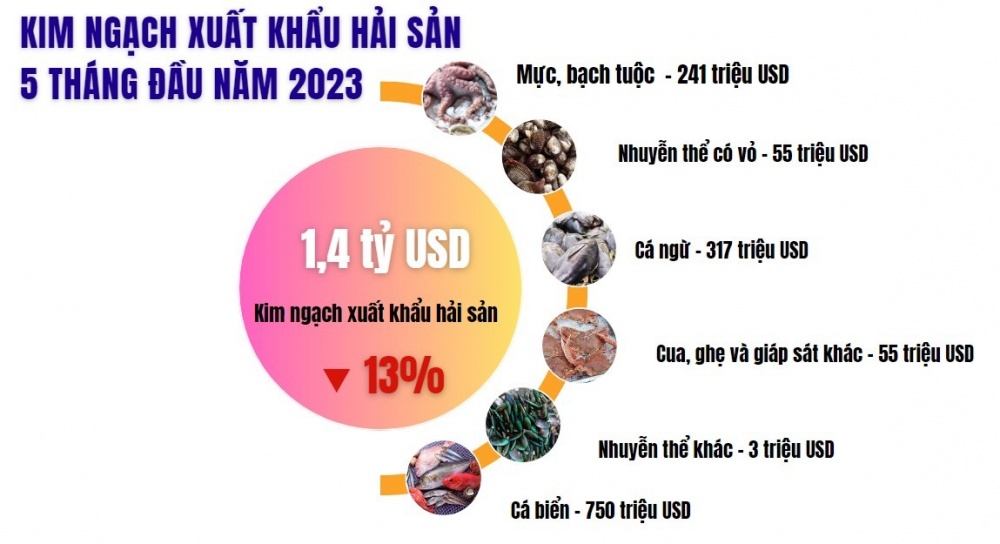 Gỡ "thẻ vàng" IUU: Hành trình gần 6 năm và kỳ vọng sớm hái "quả ngọt"