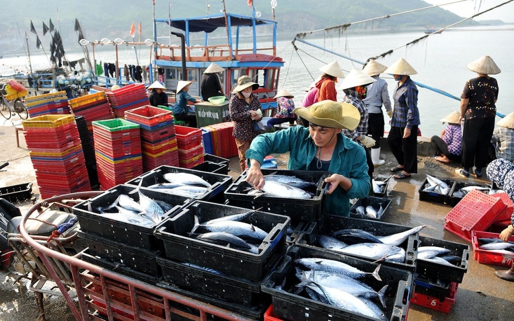 EC dành 7 ngày kiểm tra Việt Nam về IUU