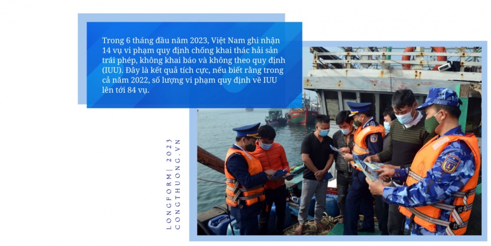 Gỡ "thẻ vàng" IUU: Hành trình gần 6 năm và kỳ vọng sớm hái "quả ngọt"