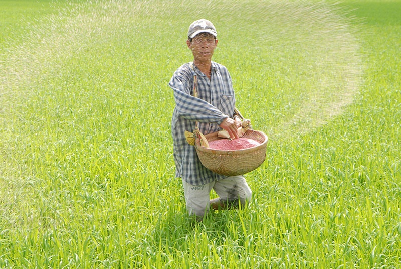 Phân bón Dầu khí tiếp tục kiến nghị xin được chịu thuế VAT