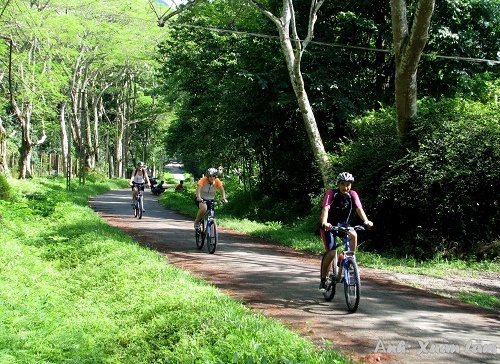 Top 3 điểm du lịch xanh mát khi đến Ninh Bình trong mùa hè này Top 3 điểm du lịch xanh mát khi đến Ninh Bình trong mùa hè này