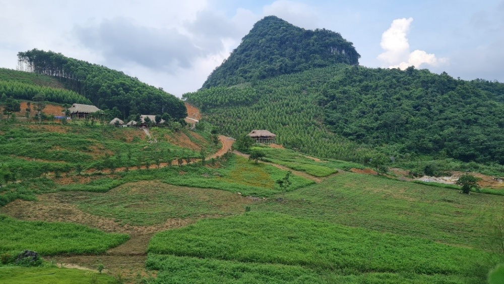 Cao Nguyên Đông Bo - Điểm đến dã ngoại hấp dẫn du khách