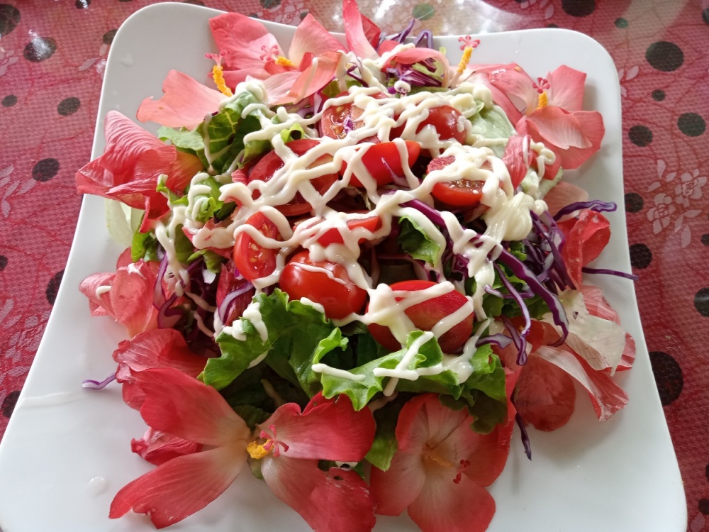 Đến Thái Nguyên thưởng thức những món ăn hấp dẫn từ sâm Bố Chính Đến Thái Nguyên thưởng thức những món ăn hấp dẫn từ sâm Bố Chính