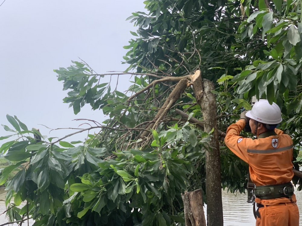 EVN chủ động, linh hoạt, tập trung toàn lực ứng phó với bão Talim