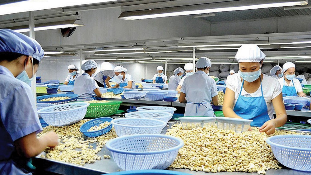 Lại xuất hiện vụ việc nghi bị lừa đảo trong xuất khẩu điều
