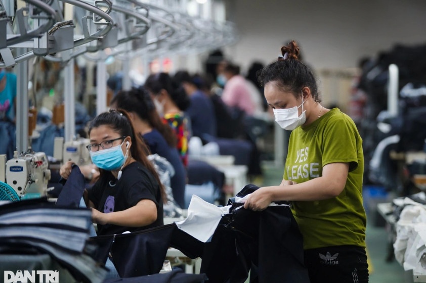Thường trực Chính phủ khuyến khích người lao động hạn chế rút BHXH một lần (Ảnh minh họa: CTV).