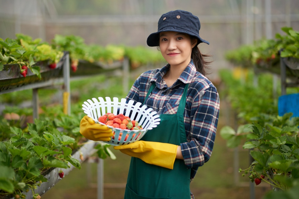 Vay vốn lãi suất hấp dẫn chỉ từ 7%/năm tại BIDV dành cho cá nhân