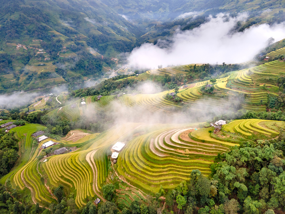 Ruộng bậc thang Hoàng Su Phì: Thắng cảnh thiên nhiên độc đáo hấp dẫn khách du lịch