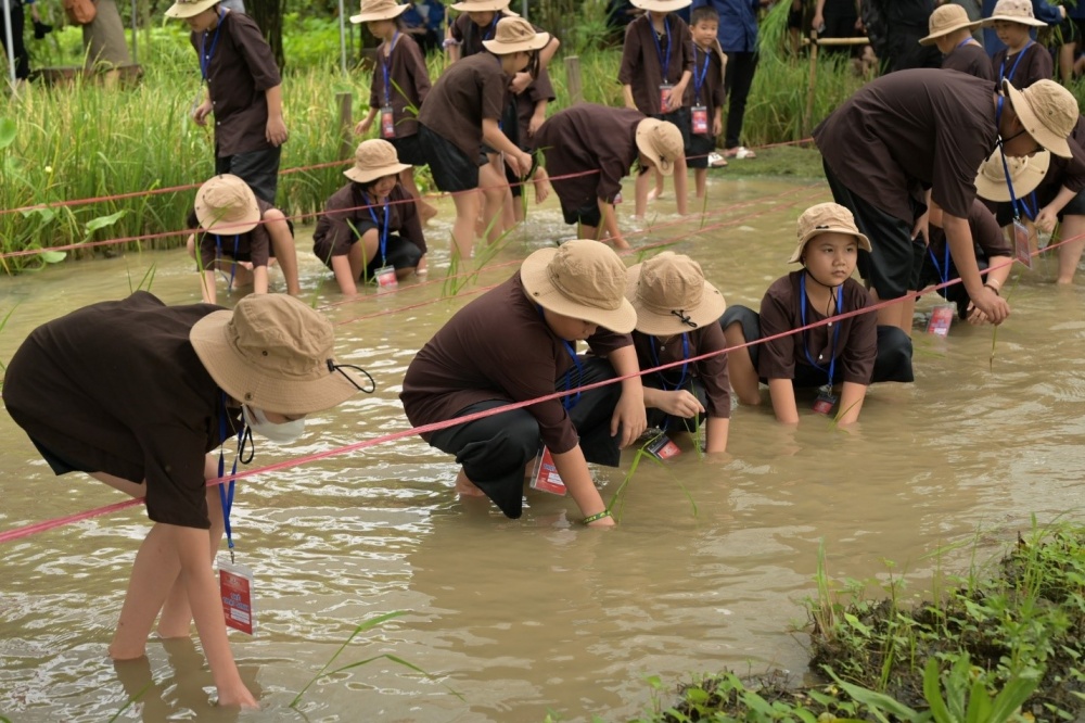 PVOIL tổ chức chương trình 
