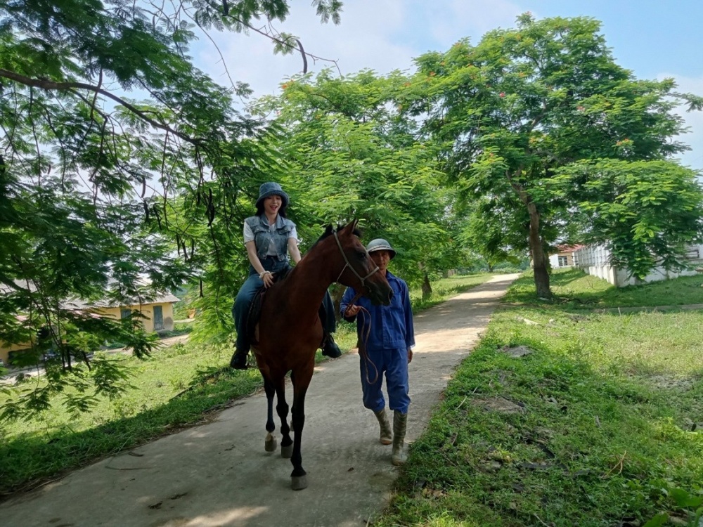 Đến Thái Nguyên trải nghiệm cưỡi ngựa trên thảo nguyên xanh Đến Thái Nguyên trải nghiệm cưỡi ngựa trên thảo nguyên xanh