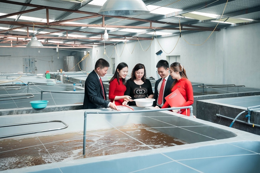 Tăng cường sức hấp thụ vốn cho doanh nghiệp Tăng cường sức hấp thụ vốn cho doanh nghiệp