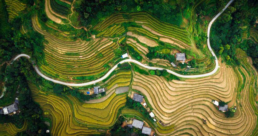 Mùa thu Hoàng Su Phì - Miền đất của những kẻ mộng mơ
