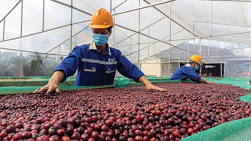 Cải thiện môi trường đầu tư để thu hút FDI