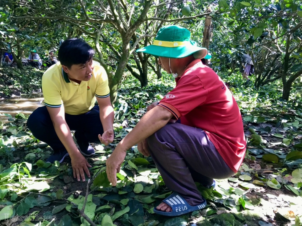 NPK Cà Mau công nghệ polyphosphate giúp nhà nông tăng lợi