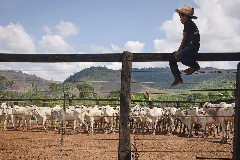 “Mỏ vàng” của kinh tế toàn cầu đang thuộc về ai?