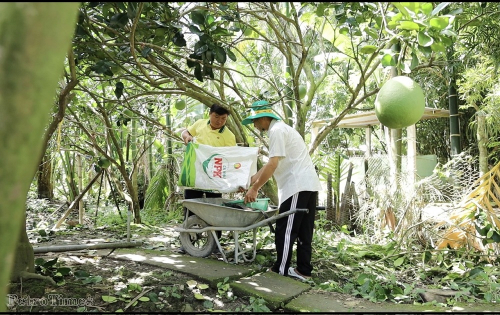 NPK Cà Mau công nghệ polyphosphate chắp cánh nông sản Việt