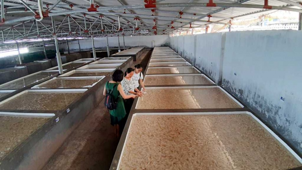 Thanh Lân: Vẻ đẹp hoang sơ bí ẩn của thiên nhiên Thanh Lân: Vẻ đẹp hoang sơ bí ẩn của thiên nhiên