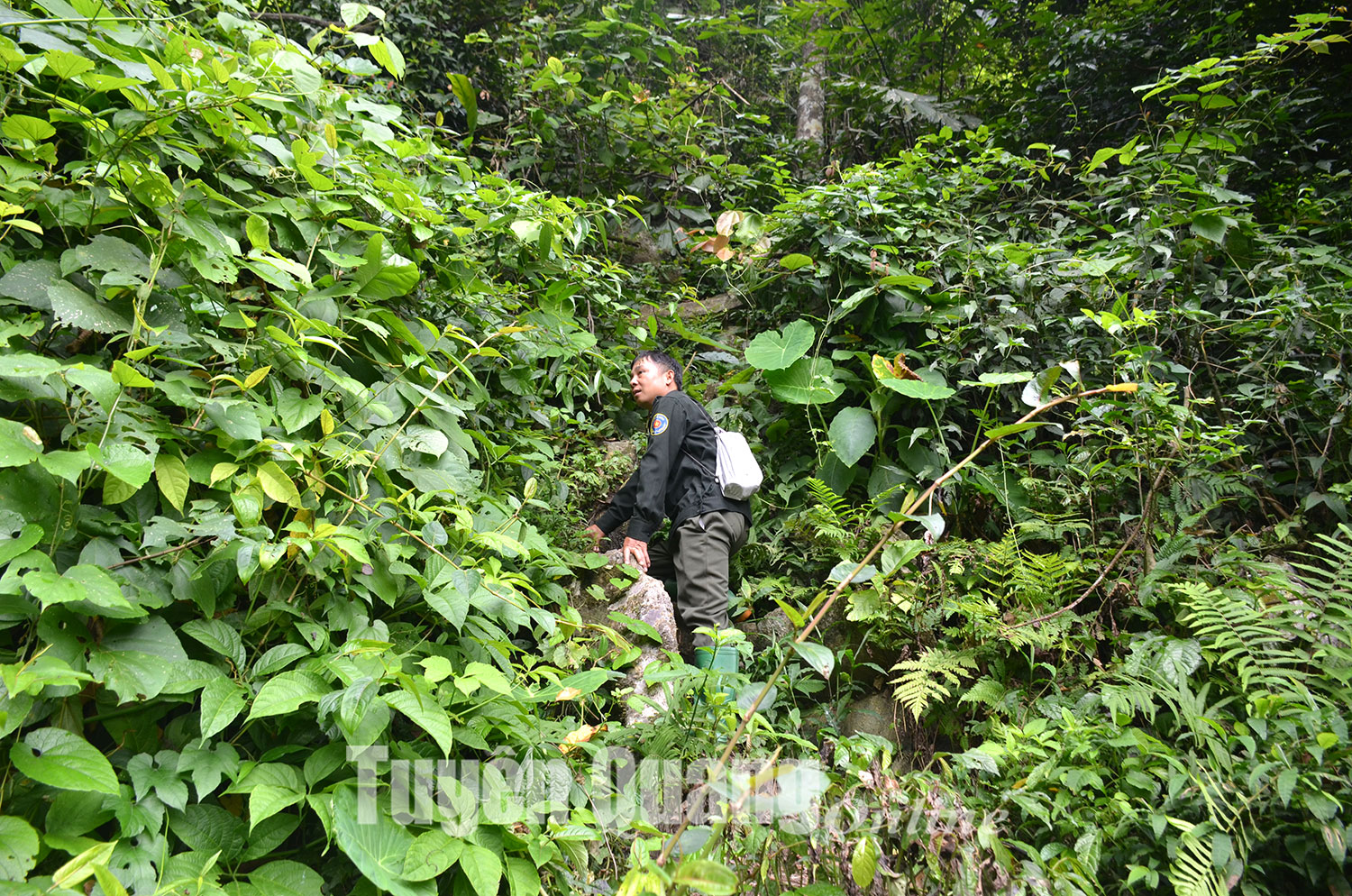 Nét hoang sơ của hang Khau Quang