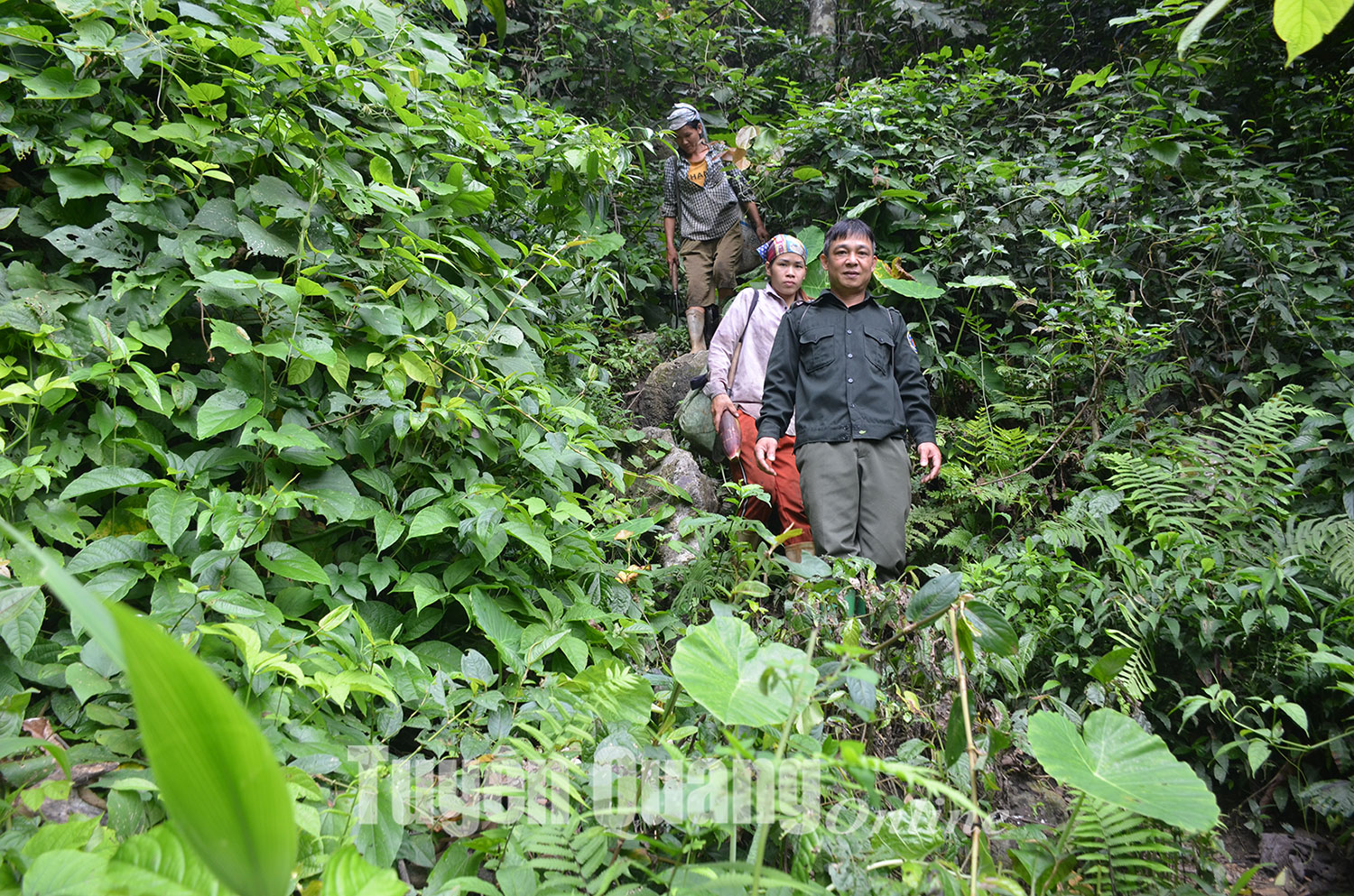 Nét hoang sơ của hang Khau Quang