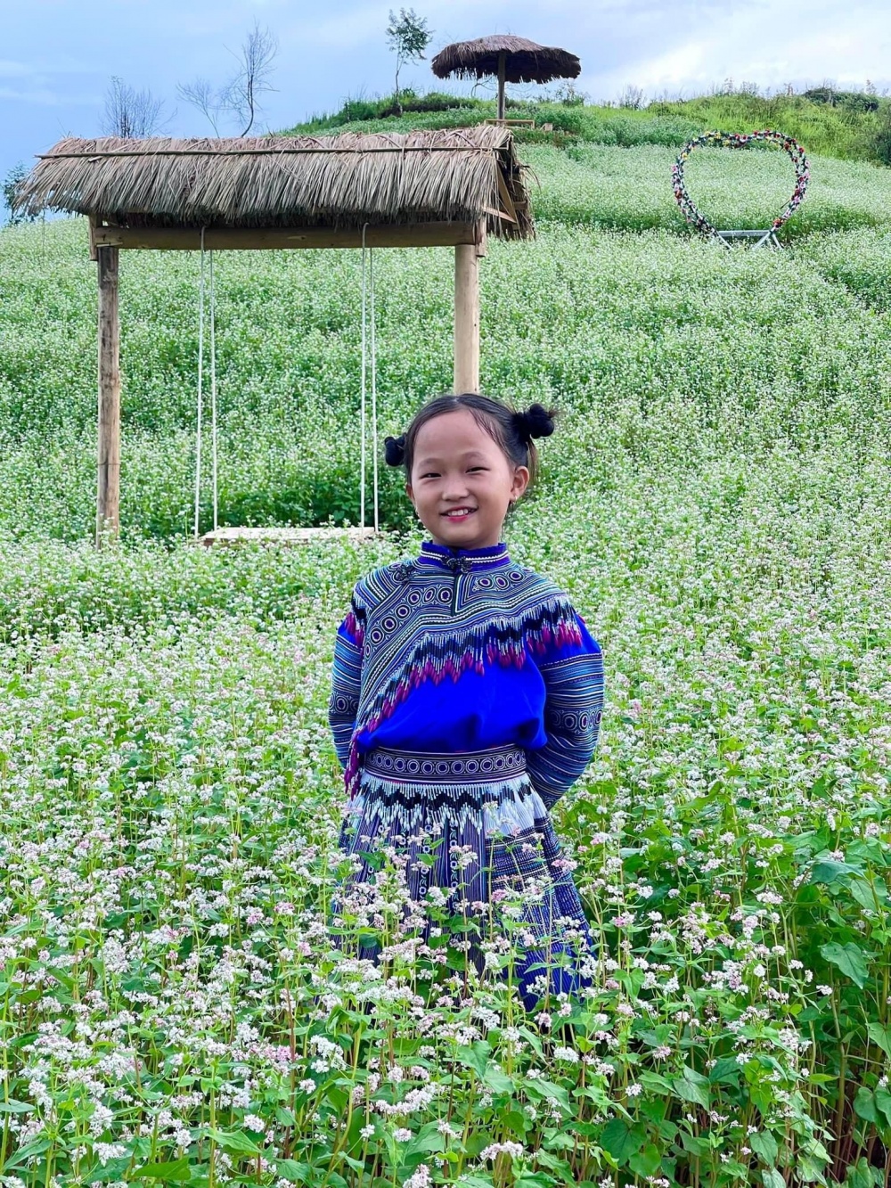Lên Núi Tình Si Ma Cai ngắm hoa Tam Giác Mạch bung nở dịp 2/9 Lên Núi Tình Si Ma Cai ngắm hoa Tam Giác Mạch bung nở dịp 2/9