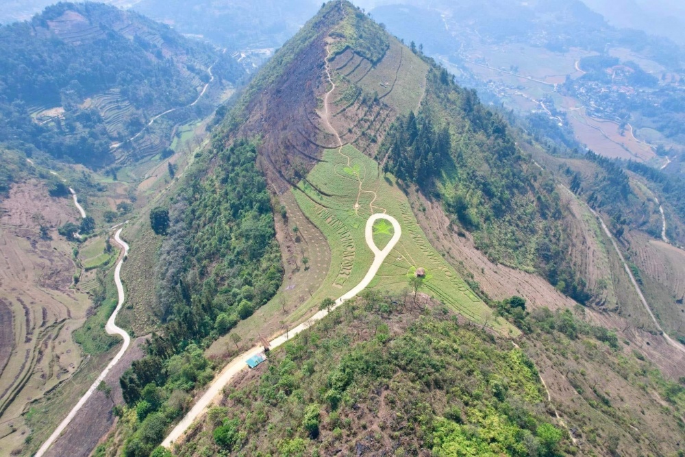 Lên Núi Tình Si Ma Cai ngắm hoa Tam Giác Mạch bung nở dịp 2/9 Lên Núi Tình Si Ma Cai ngắm hoa Tam Giác Mạch bung nở dịp 2/9