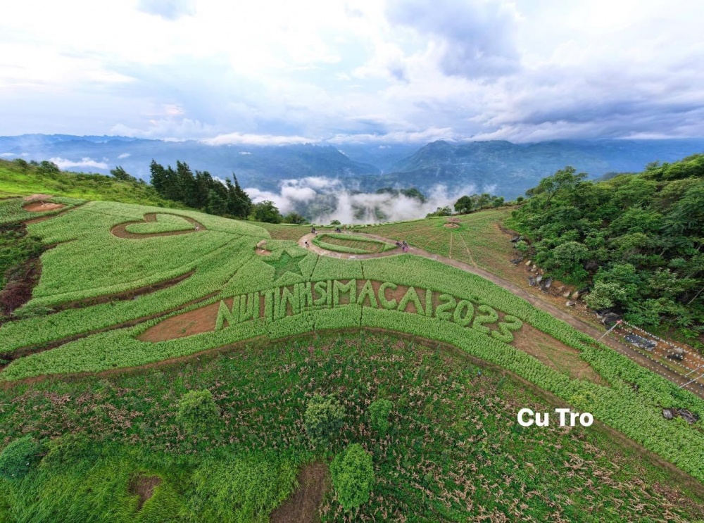 Lên Núi Tình Si Ma Cai ngắm hoa Tam Giác Mạch bung nở dịp 2/9 Lên Núi Tình Si Ma Cai ngắm hoa Tam Giác Mạch bung nở dịp 2/9