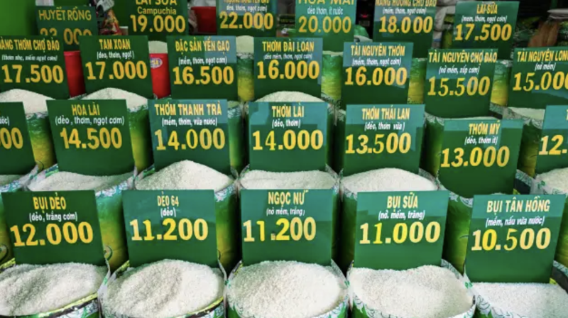 Giá xăng dầu, giá gạo và giá nhà ở thuê tăng đẩy CPI tháng 8 tăng 0,88%
