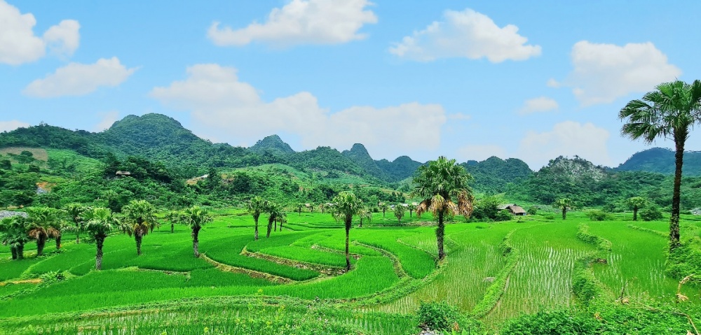Bản Tèn - Những trải nghiệm mới hấp dẫn du khách Bản Tèn - Những trải nghiệm mới hấp dẫn du khách