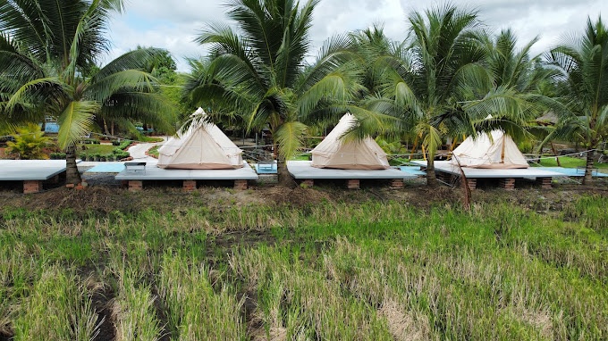 Du lịch Đồng Nai có gì thú vị?