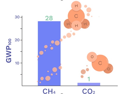 So sánh ảnh hưởng đến BĐKH của 1 tấn CO2 và 1 tấn CH4 trong vòng 100 năm (Nguồn: Unites Nations – Global warming potentials).