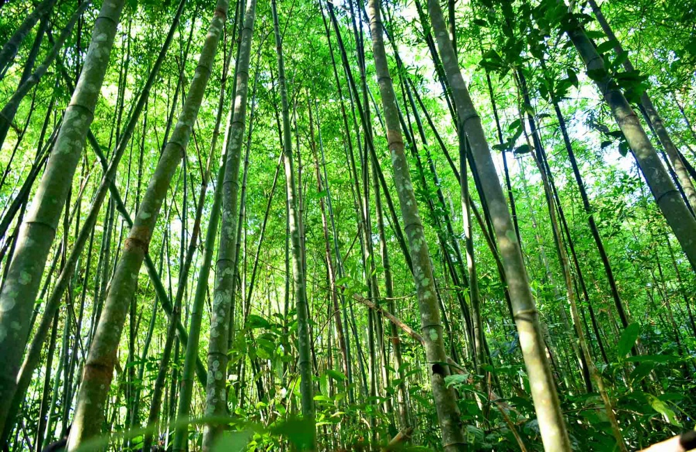 Trải nghiệm hoang sơ tại Chênh Vênh Quảng Trị