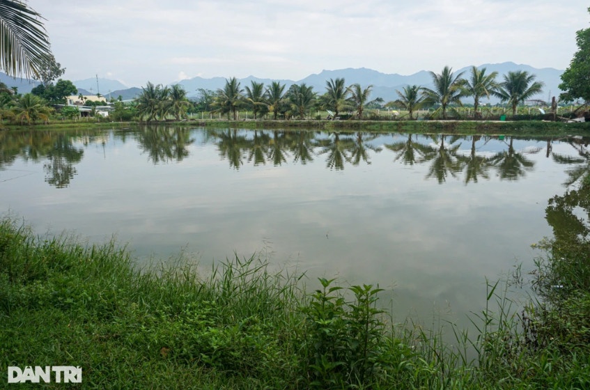 Ông Khoa đang có 4 ao nuôi cá trên diện tích rộng 2ha (Ảnh: Hoài Sơn).