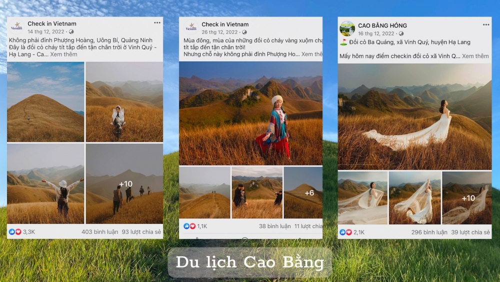 Mùa quyến rũ trên đồi cỏ Vinh Quý