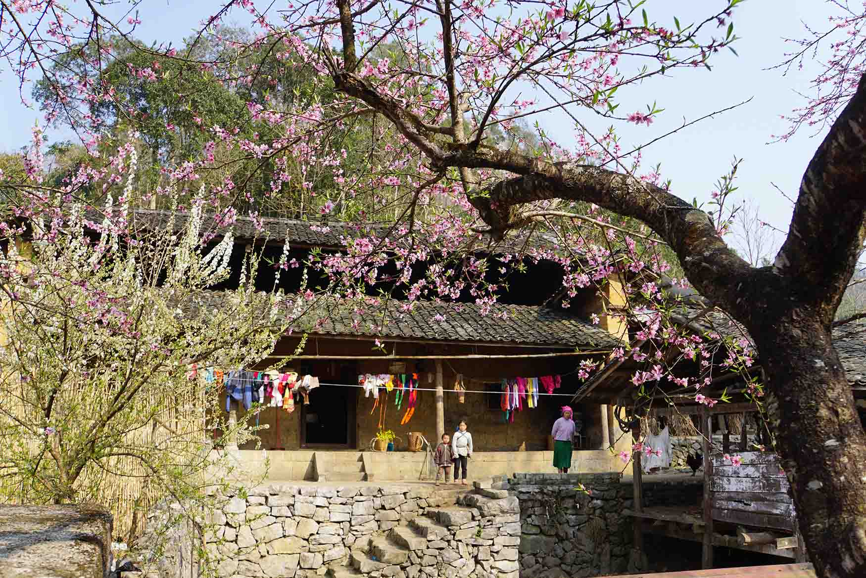 Gợi ý 10 bản làng nên ghé thăm khi đến Hà Giang Gợi ý 10 bản làng nên ghé thăm khi đến Hà Giang