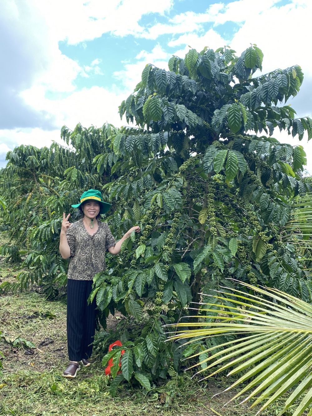 NPK Phú Mỹ: Hoàn thiện bộ sản phẩm bằng cái tâm NPK Phú Mỹ: Hoàn thiện bộ sản phẩm bằng cái tâm