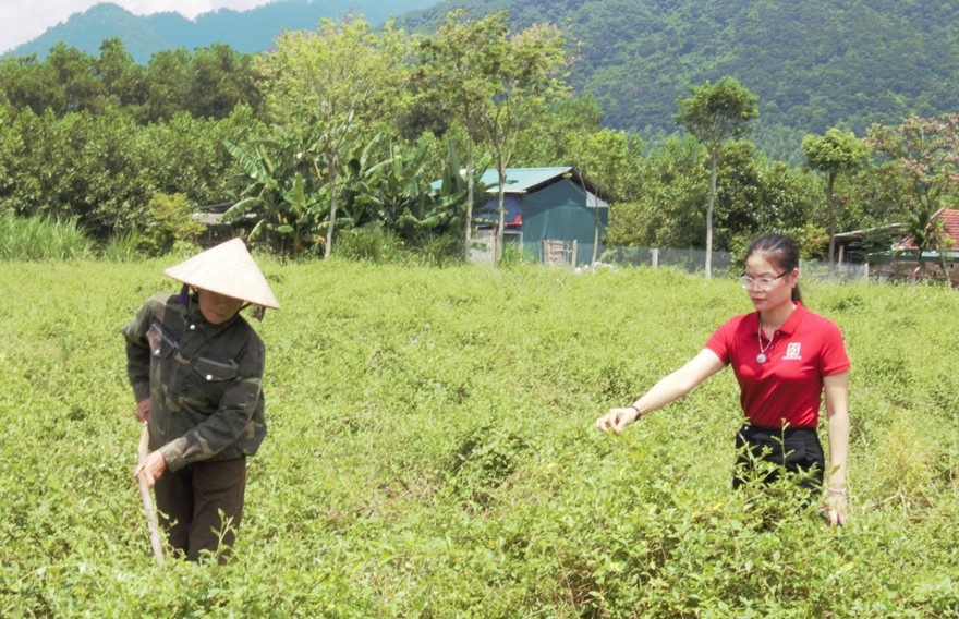 Phát triển nông sản sạch, nông sản đạt tiêu chuân OCOP: Nguồn lực 