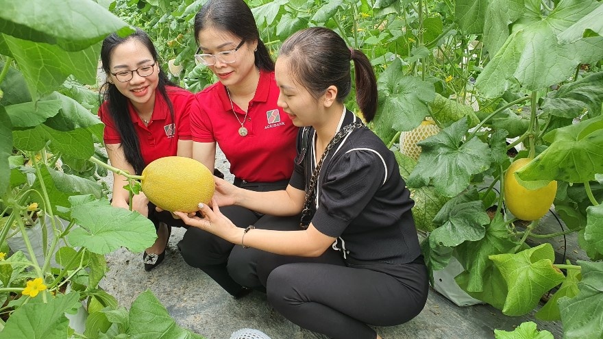 Phát triển nông sản sạch, nông sản đạt tiêu chuân OCOP: Nguồn lực 