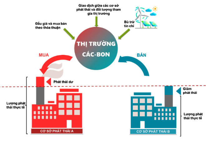 Sẽ vận hành sàn giao dịch tín chỉ carbon tại Việt Nam Sẽ vận hành sàn giao dịch tín chỉ carbon tại Việt Nam