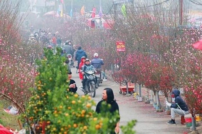 Đề xuất 2 phương án nghỉ Tết Nguyên đán năm 2024