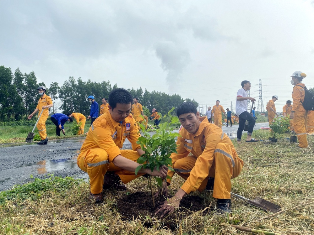 Phối hợp trồng 1.000 cây hoàng yến chuông vàng làm đẹp con đường Công trình Thanh niên tại Khánh An, U Minh, Cà Mau Phối hợp trồng 1.000 cây hoàng yến chuông vàng làm đẹp con đường Công trình Thanh niên tại Khánh An, U Minh, Cà Mau