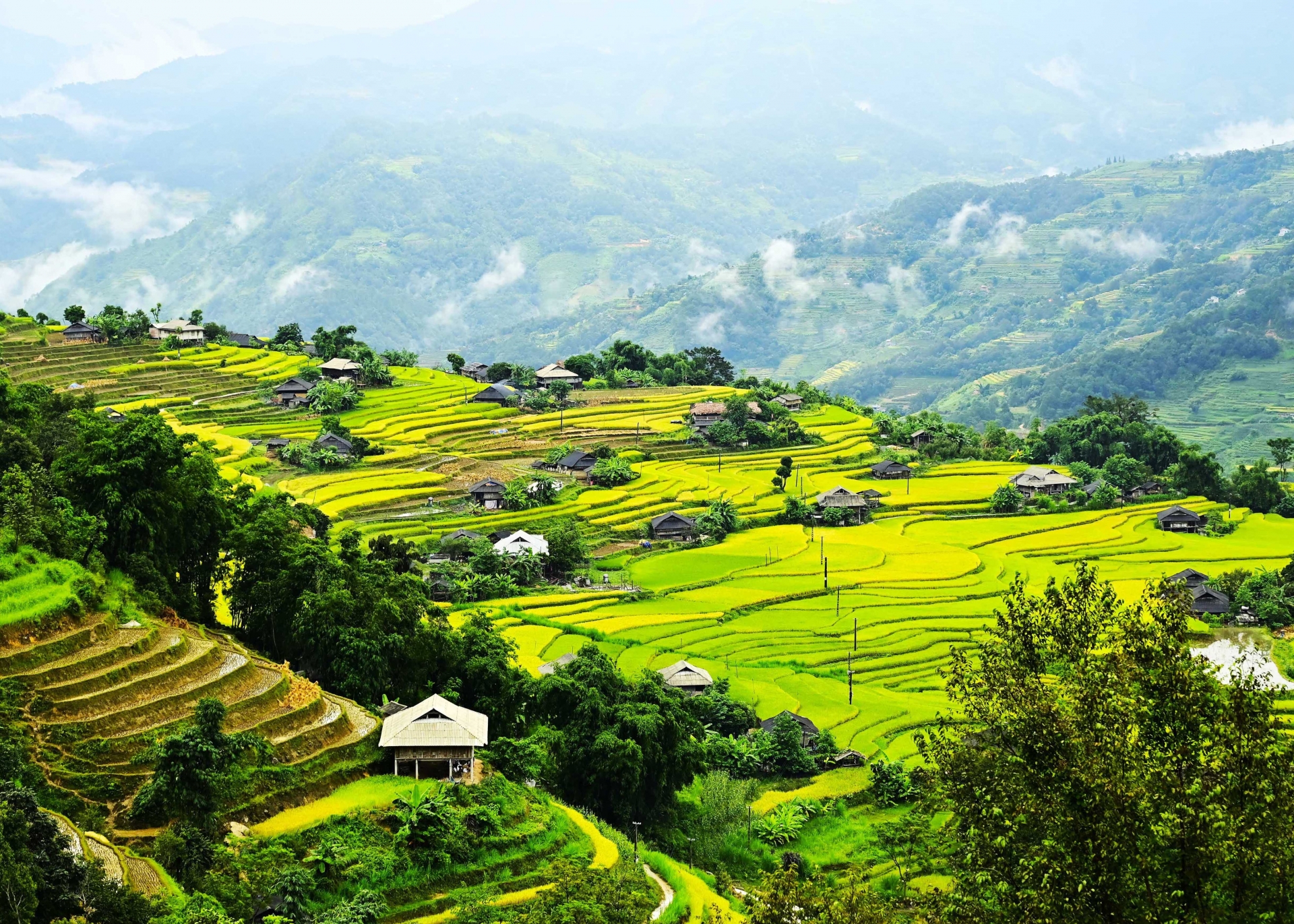 Rực vàng những ruộng bậc thang mùa lúa chín