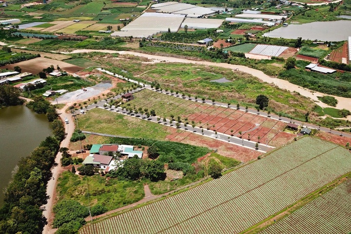 Tin bất động sản ngày 5/10: Lâm Đồng chỉ đạo xử lý nghiêm Tin bất động sản ngày 5/10: Lâm Đồng chỉ đạo xử lý nghiêm